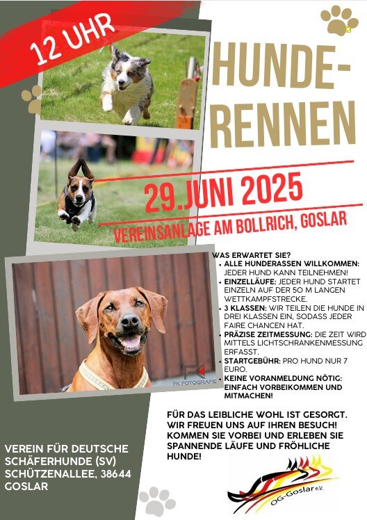 Hunderennen am 29. Juni 2025 auf unserem Vereinsgelände in Goslar, Schützenallee.