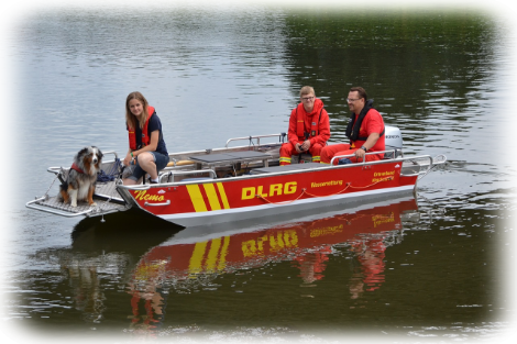 Rettungshund Ausbildung Teil 1 beim OG Goslar e.V.