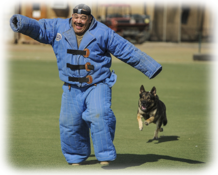 Schutzhund Ausbildung