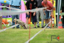 k-IMG_2657.jpg