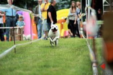 k-IMG_2677.jpg