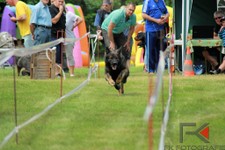 k-IMG_2781.jpg