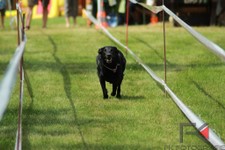 k-IMG_2878.jpg